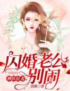 神医狂妻：闪婚老公，别闹！