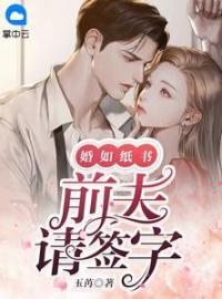 婚如纸书，前夫请签字(林安然盛之舟)全文完结在线阅读完整版