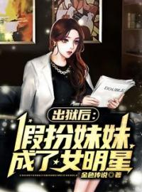 出狱后：假扮妹妹成了女明星叶十四柳玉全文精彩内容免费阅读