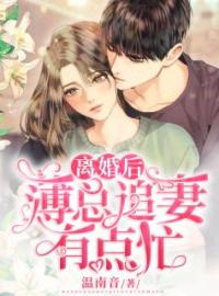 离婚后，薄总追妻有点忙(夏浠薄晏庭)全文完结在线阅读完整版