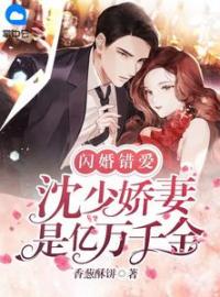 《闪婚嫁给京都首富》顾浅茉沈奕小说在线阅读