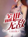 王婿无敌