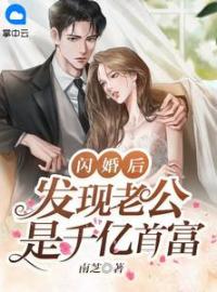 闪婚后，发现老公是千亿首富秦臻臻许墨沉目录_闪婚后，发现老公是千亿首富小说阅读