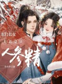 农门长女：夫君是只人参精叶子锦凌苍梧目录_农门长女：夫君是只人参精小说阅读