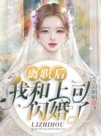 《离职后我和上司闪婚了》完结版精彩阅读 时倾薄靳衍小说在线阅读