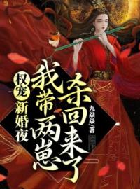 《权宠：新婚夜，我带两崽杀回来了》洛倾城萧衍最新章节全文免费阅读