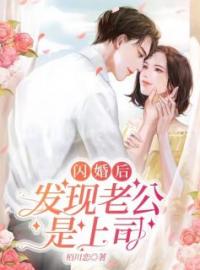 好书推荐《闪婚后，发现老公是上司！》司念时夜舟全文在线阅读