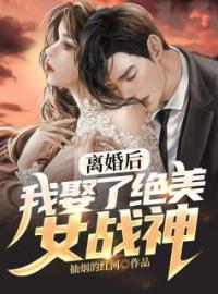 《离婚后，我娶了绝美女战神》秦北杨丽全文阅读