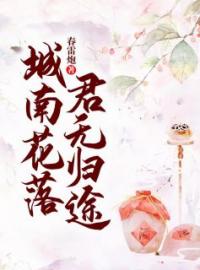 城南花落，君无归途全章节免费试读 主角宋漓叶岐扬完结版