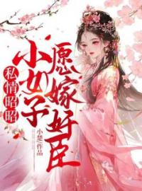 《私情昭昭：小女子愿嫁奸臣》陆渺宴云庭全文免费阅读