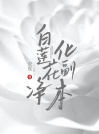 孟媛杨正轩小说叫什么_白莲花净化副本小说