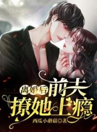 《离婚后，前夫撩她上瘾》大结局免费阅读 《离婚后，前夫撩她上瘾》最新章节目录