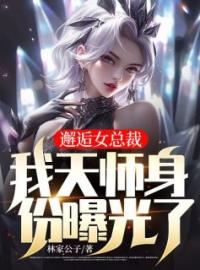 《邂逅女总裁：我天师身份曝光了》免费试读 叶天江婉清小说在线阅读