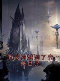 王武穿越到了完美世界免费试读(王武王长云小说全本资源) 无广告