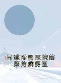 云城附属医院简陋的病房里雪夜乔甯雪秦凛之目录_云城附属医院简陋的病房里小说阅读