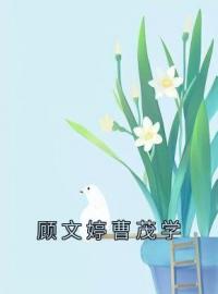 《顾文婷曹茂学》顾文婷曹茂学最新章节全文免费阅读