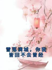 《雪落满城，你我皆回不去曾经》江锦瑟谢观南最新章节全文免费阅读