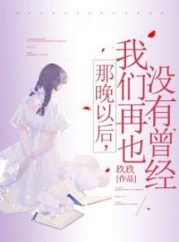 《那晚以后，我们再也没有曾经》大结局免费阅读 《那晚以后，我们再也没有曾经》最新章节目录