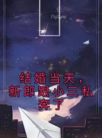 结婚当天，新郎跟小三私奔了穆星霍星辉目录_结婚当天，新郎跟小三私奔了小说阅读