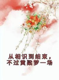 从相识到结束，不过黄粱梦一场全文免费阅读 从相识到结束，不过黄粱梦一场霍璇越文廷小说最新章节