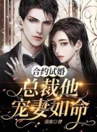 合约试婚：总裁他宠妻如命全文免费试读(许思恬白耀辰) 完结版