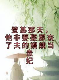 登基那天，他非要娶那丧了夫的嫂嫂当贵妃完整版全文阅读 盛鸢傅崇之小说 大结局