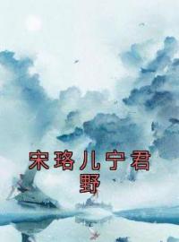 宋珞儿宁君野宋珞儿宁君野小说大结局在线阅读