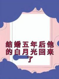 小说《结婚五年后他的白月光回来了》许佳栩傅寒鄞全文免费试读