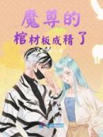 虞曦陌九娘小说《魔尊的棺材板成精了》全文及大结局精彩试读