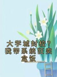 陈羽冯诗雅小说《大学城封校？我带系统狂卖盒饭》全文及大结局精彩试读