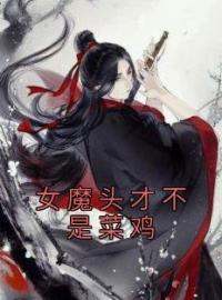 女魔头才不是菜鸡完整全文阅读 方休忘铭小说结局无删节