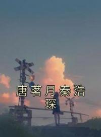 唐茗月秦浩琛(唐茗月秦浩琛)全文完结在线阅读完整版