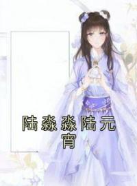 陆淼淼陆元宵全章节免费在线阅读 陆淼淼陆元宵小说完结版