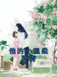 好书推荐《他的小温柔夏青》夏青齐觉全文在线阅读