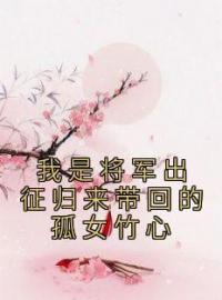 我是将军出征归来带回的孤女竹心免费试读(江淮之沈竹心小说全本资源) 无广告