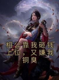 相公靠我砸钱上位，又嫌我铜臭沈如意柳城开小说_相公靠我砸钱上位，又嫌我铜臭小说章节