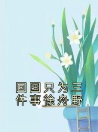 回国只为三件事徐舟野周茉徐舟野小说大结局在线阅读