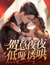 闪婚后，贺总夜夜低哑诱哄