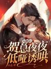 闪婚后，贺总夜夜低哑诱哄