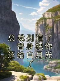 《总裁别追了，替身把你还给白月光了》岑溪顾子风全文阅读