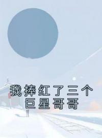 林潼朱小彤居怀诚小说叫什么_我捧红了三个巨星哥哥小说