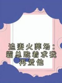 云觅祁砚川小说叫什么_追妻火葬场：霸总跪着求我再爱他小说