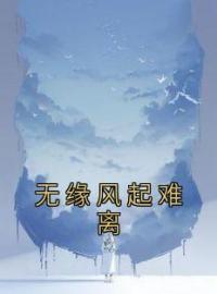 无缘风起难离免费试读(魏梧笙陆少风小说全本资源) 无广告