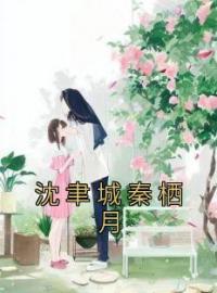 《沈聿城秦栖月》沈聿城秦栖月小说在线阅读