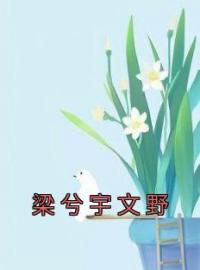 《梁兮宇文野》完结版精彩阅读 梁兮宇文野小说在线阅读