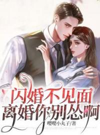 《闪婚不见面，离婚你别怂啊》大结局免费阅读 《闪婚不见面，离婚你别怂啊》最新章节目录