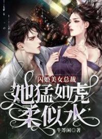 好书推荐《闪婚美女总裁：她猛如虎，柔似水》李闯王倩倩全文在线阅读