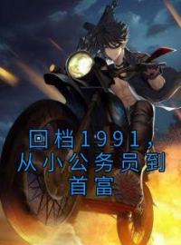 《回档1991，从小公务员到首富》大结局免费阅读 《回档1991，从小公务员到首富》最新章节目录