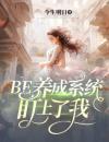 BE养成系统盯上了我