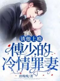 诱他上瘾：傅少的冷情罪妻(林婉婉傅沛)全文完结在线阅读完整版